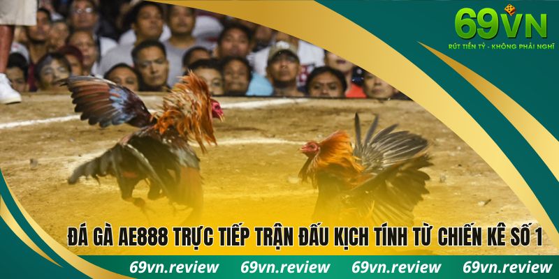 Đá gà ae888