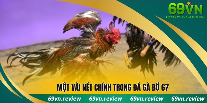 Một vài nét chính trong đá gà bồ 67